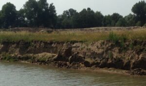 Ruimte voor de oeverzwaluwen in de Scheller- en Oldeneler Buitenwaarden