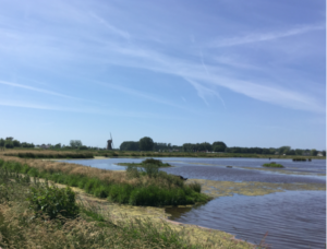 Waterberging bij Haastrecht
