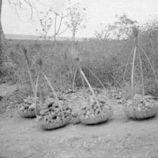 Manden met ruw fosfaat, in 1936 gewonnen in de Kromong-bergen, West-Java.
