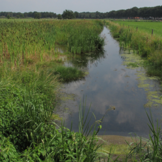 waterberging Heino