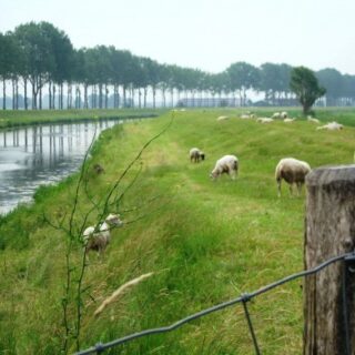 De Soestwetering tusen Wijhe en Zwolle.