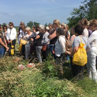 De Waterlelies bij de waterberging bij Haastrecht