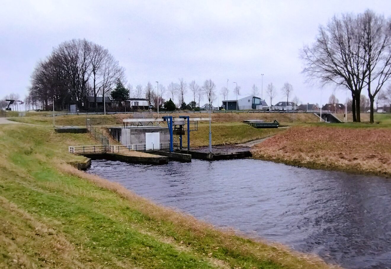 Betere visveiligheid bij gemaal Nieuwebrugsluis dankzij Water Natuurlijk