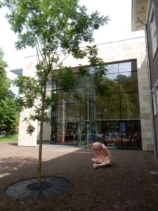 "Rotjong" van Spacecowboys