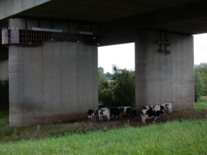 “The Conference, 24/7” van John Bijnens.