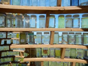 Borboros van Gerard Groenewoud en Tilly Buij