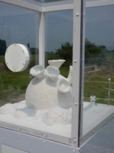 Zeezoutsculpturen van Peter de Cupere.