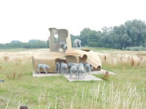 Analgesia van Paolo Grassino