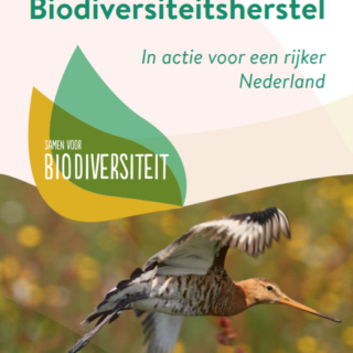 Deltaplan Biodiversiteitsherstel