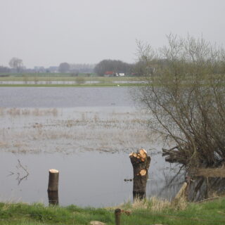 Hoog water in de IJssel