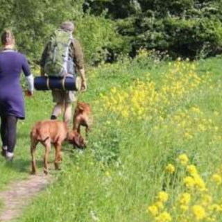 recreatief gebruik waterschapseigendommen