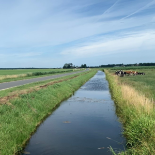 Sloot rondom Steenwijk