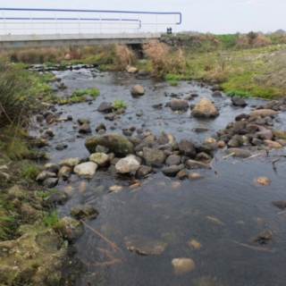Stroompje in het gebied van Waterschap Drents Overijsselse Delta